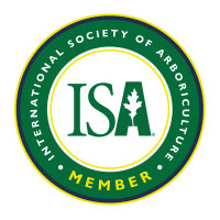 ISA Logo