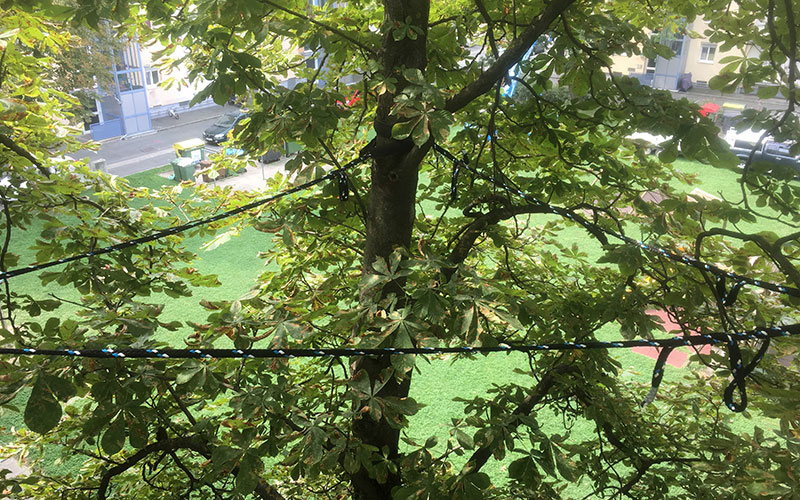 Kronen- und Auffangsicherungen